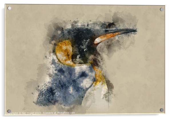 Emperor Penguin Acrylic by Nic Croad