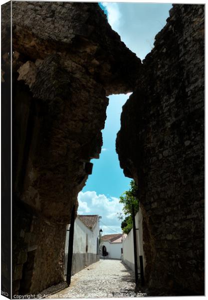 Looking from Serpa Castle entrance Canvas Print by Angelo DeVal