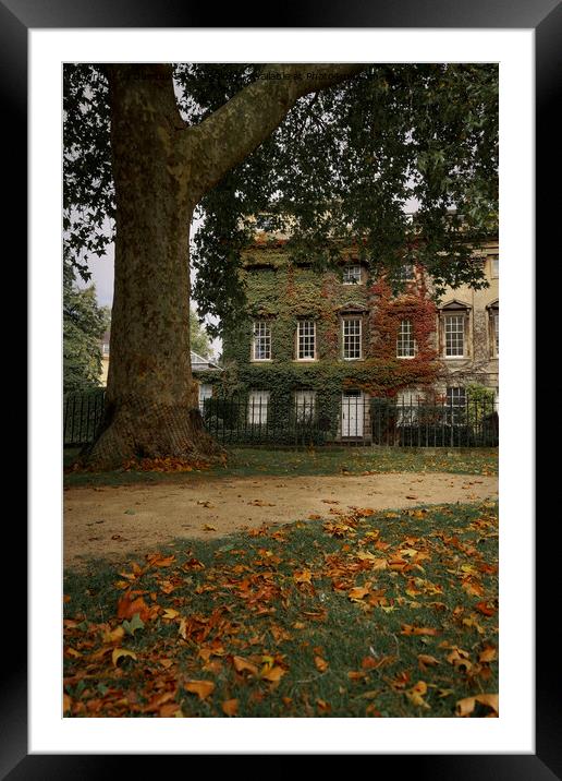 Autumn in Bath at Queens Square Framed Mounted Print by Duncan Savidge