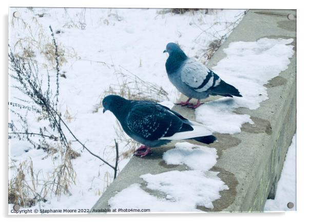 Pigeons in the Snow Acrylic by Stephanie Moore