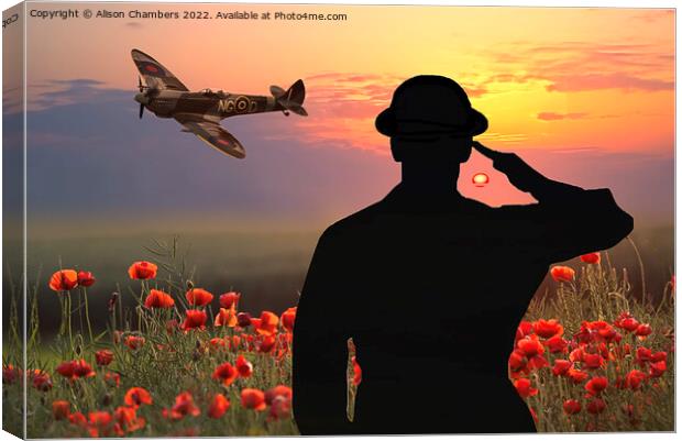 Lest We Forget - We Salute You Canvas Print by Alison Chambers