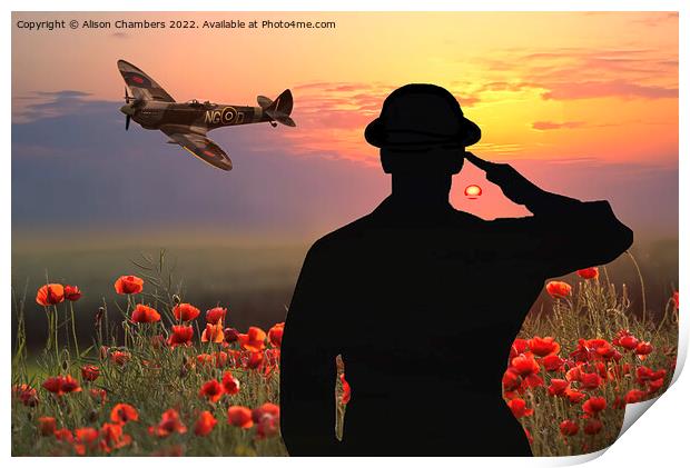 Lest We Forget - We Salute You Print by Alison Chambers
