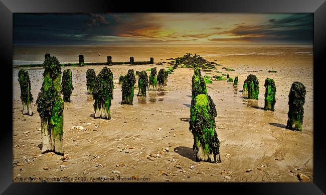 Seaweed-Clad Groynes Framed Print by Jeremy Sage
