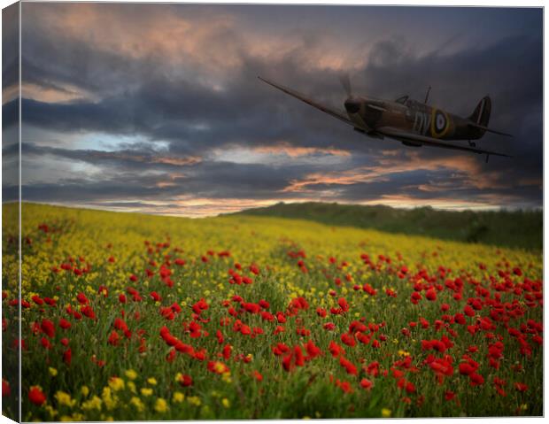 Spitfire Soaring Over a Field of Red Canvas Print by kathy white