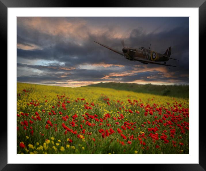 Spitfire Soaring Over a Field of Red Framed Mounted Print by kathy white