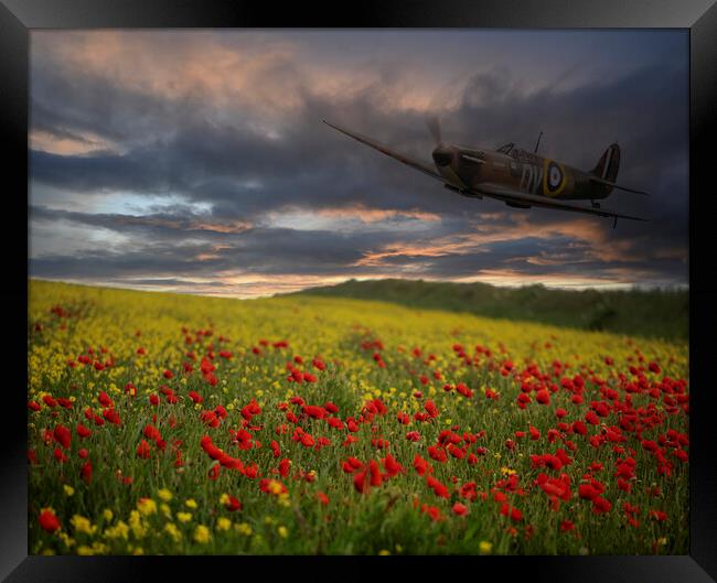 Spitfire Soaring Over a Field of Red Framed Print by kathy white