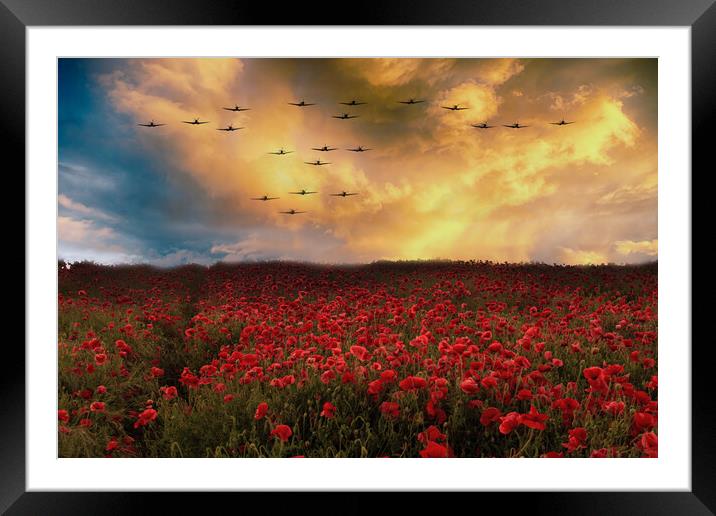 Sunset Poppies Spitfires Framed Mounted Print by J Biggadike
