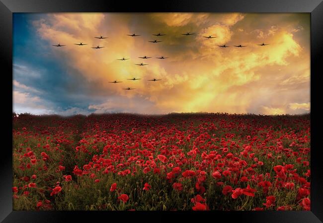 Sunset Poppies Spitfires Framed Print by J Biggadike