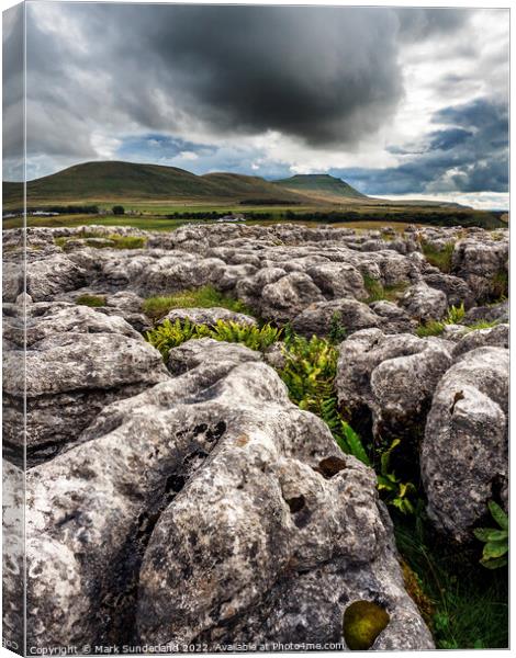 Ingleborough from Ribblehead Yorkshire Dales Canvas Print by Mark Sunderland