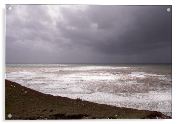 View out to sea from Burling Gap Acrylic by Sally Wallis