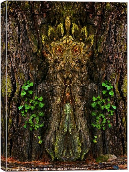 Guardian of the Wild Woods Canvas Print by Jane McIlroy