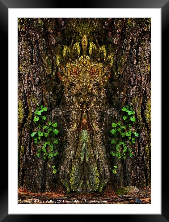 Guardian of the Wild Woods Framed Mounted Print by Jane McIlroy