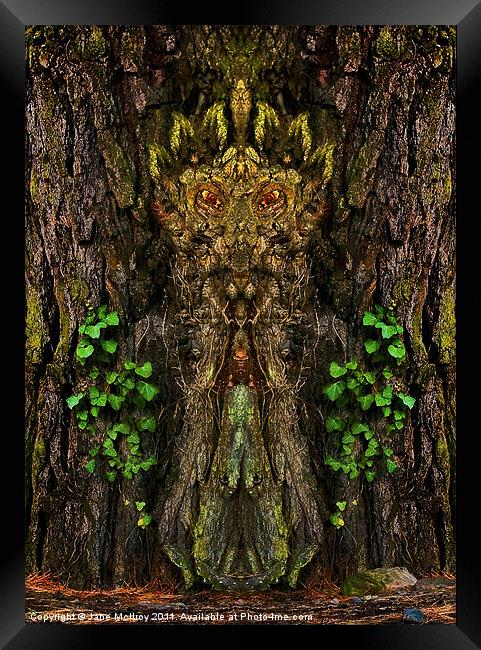Guardian of the Wild Woods Framed Print by Jane McIlroy