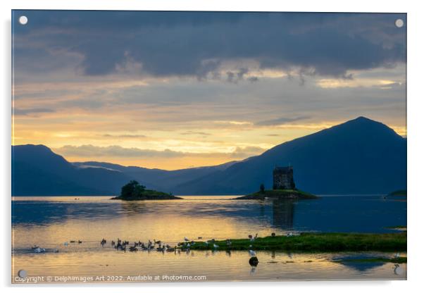 Castle Stalker on Loch Laich at sunset, Argyll, Sc Acrylic by Delphimages Art