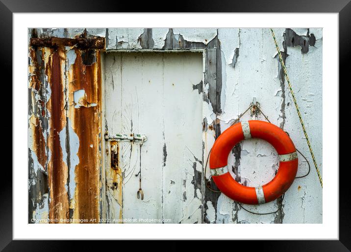 Life belt hanging on the wall of an old boat shed  Framed Mounted Print by Delphimages Art