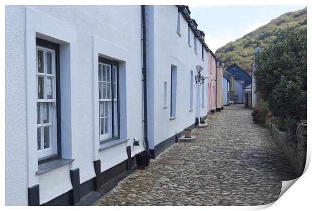 Cottages and cobbles at Boscastle. Print by David Birchall