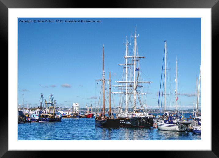 Pilgrim BM 45 And TS Royalist Framed Mounted Print by Peter F Hunt