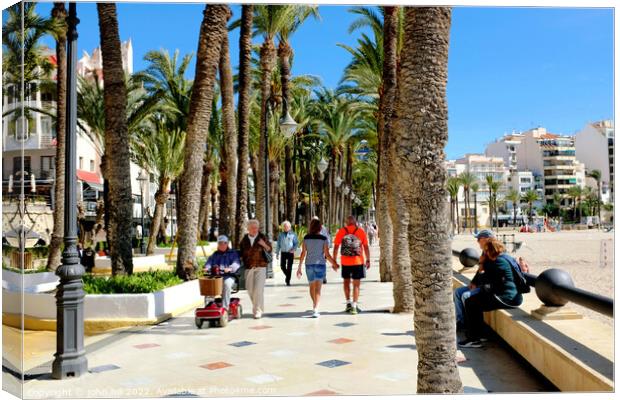 Parque de Elche, Benidorm, Spain. Canvas Print by john hill