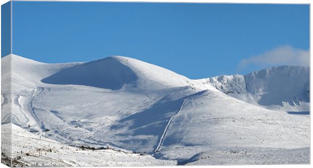 Skiing At Cairngorm Mountains Highland Scotland Canvas Print by OBT imaging