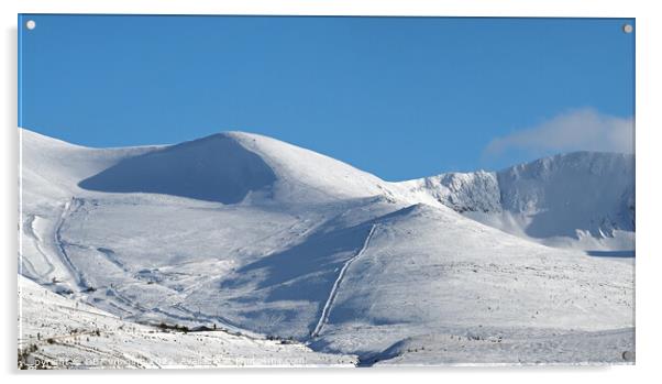 Skiing At Cairngorm Mountains Highland Scotland Acrylic by OBT imaging
