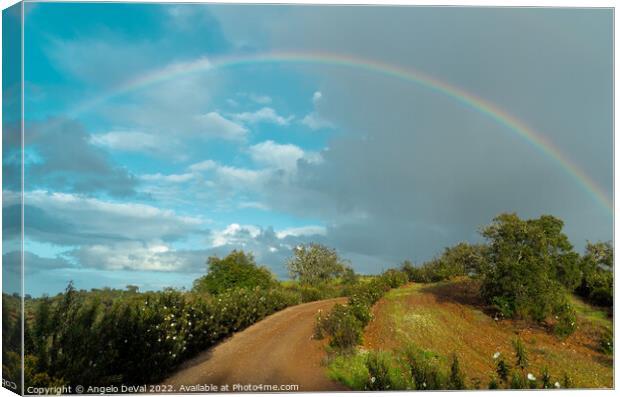 Path to Rainbow in Alentejo Canvas Print by Angelo DeVal