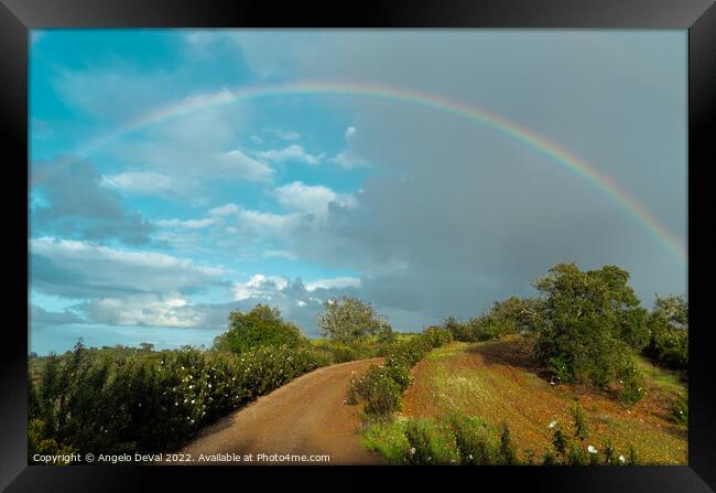 Path to Rainbow in Alentejo Framed Print by Angelo DeVal