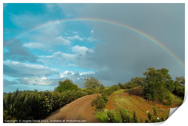 Path to Rainbow in Alentejo Print by Angelo DeVal