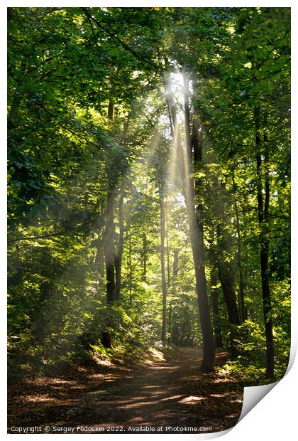 Hiking trail in summer forest Print by Sergey Fedoskin