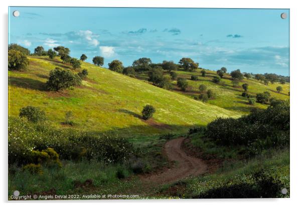 Curvy Path in the Fields of Alentejo Acrylic by Angelo DeVal