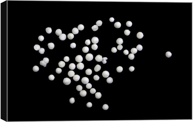 Tapioca Pearls on Black Background Canvas Print by Antonio Ribeiro