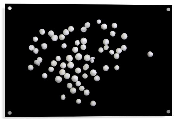 Tapioca Pearls on Black Background Acrylic by Antonio Ribeiro
