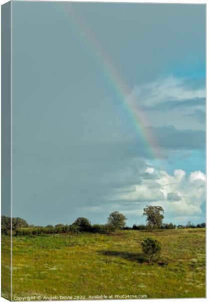 Over the Rainbow in Alentejo Fields Canvas Print by Angelo DeVal