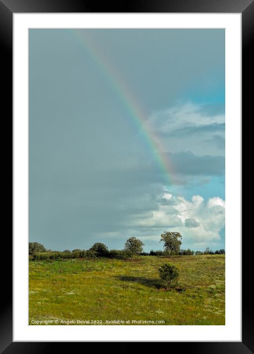 Over the Rainbow in Alentejo Fields Framed Mounted Print by Angelo DeVal