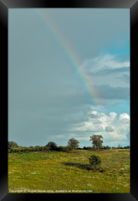 Over the Rainbow in Alentejo Fields Framed Print by Angelo DeVal