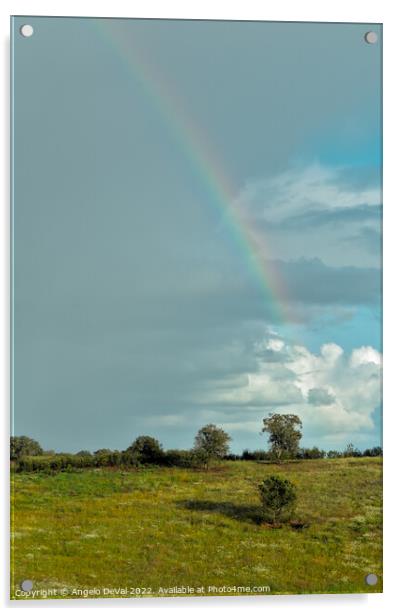 Over the Rainbow in Alentejo Fields Acrylic by Angelo DeVal