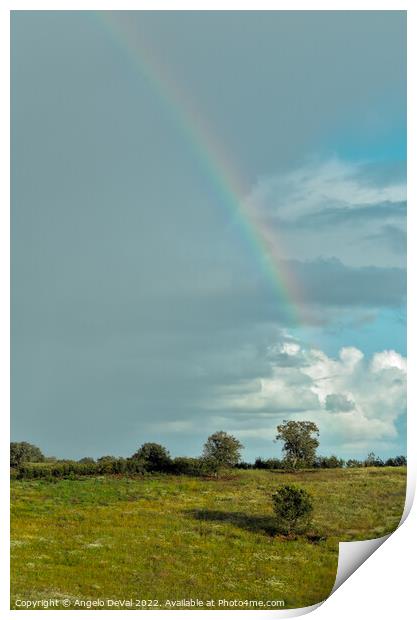 Over the Rainbow in Alentejo Fields Print by Angelo DeVal