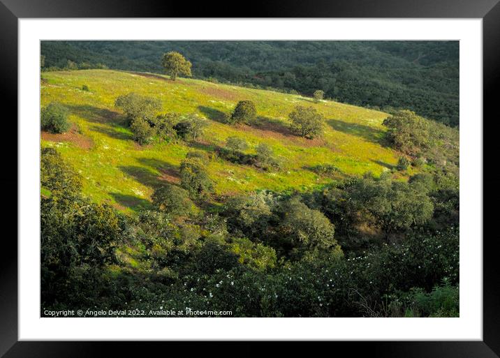 Hill of Trees in Alentejo Framed Mounted Print by Angelo DeVal