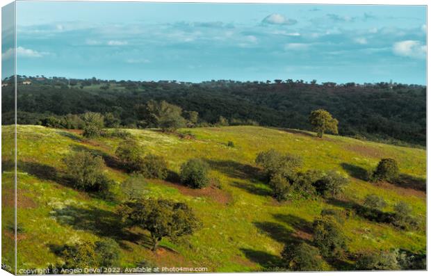 Afternoon in the green fields of Alentejo Canvas Print by Angelo DeVal