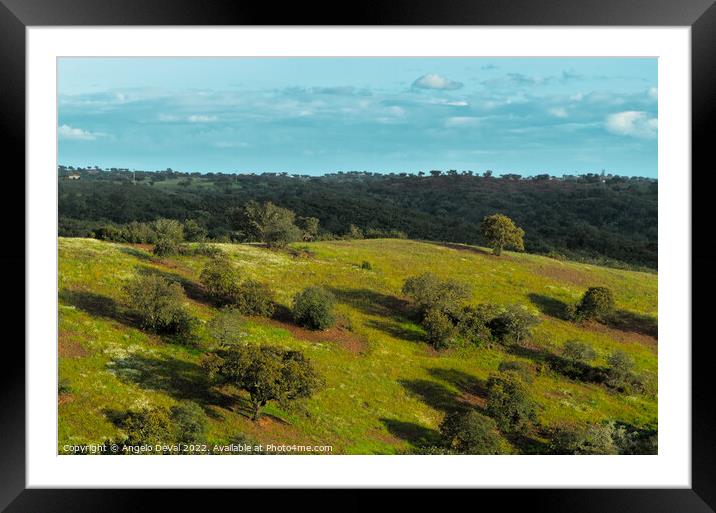 Afternoon in the green fields of Alentejo Framed Mounted Print by Angelo DeVal