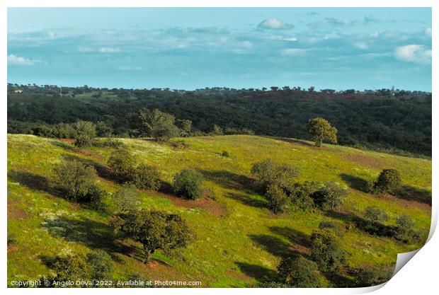 Afternoon in the green fields of Alentejo Print by Angelo DeVal