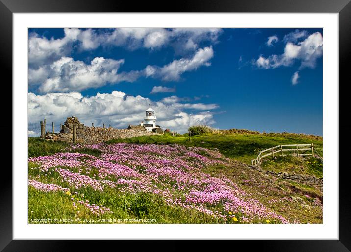 Caldey: Thrift on the Cliff. Framed Mounted Print by Paddy Art