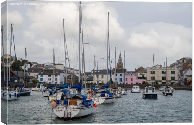 Majestic Boats in Ilfracombe Canvas Print by tammy mellor