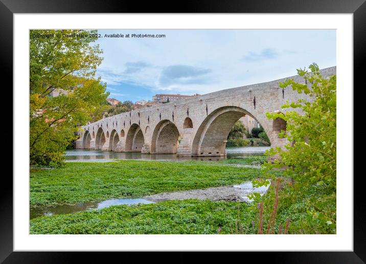Pont Vieux Framed Mounted Print by David Hare