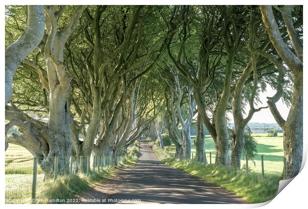 The Enchanting Tree Tunnel of Northern Ireland Print by jim Hamilton