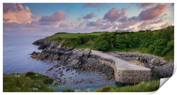 Stackpole Quay Panorama, Pembrokeshire Coast Print by Tracey Turner