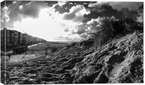 dune with sawgrass at Koksijde in black and white Canvas Print by youri Mahieu