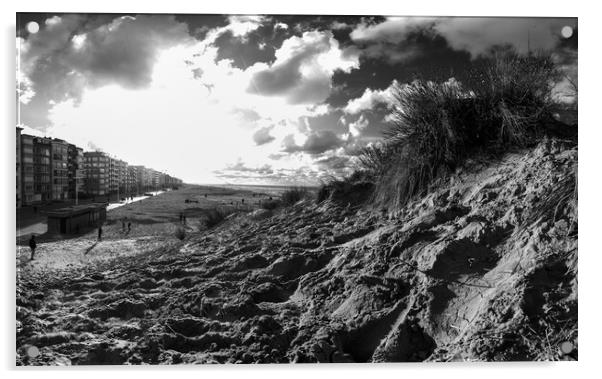 dune with sawgrass at Koksijde in black and white Acrylic by youri Mahieu