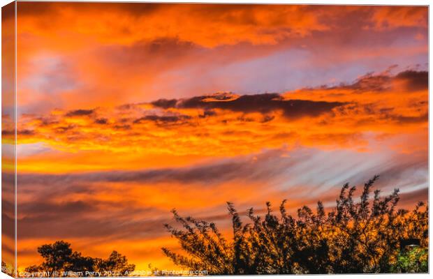 Colorful Sunset Sonora Desert Tucson Arizona Canvas Print by William Perry