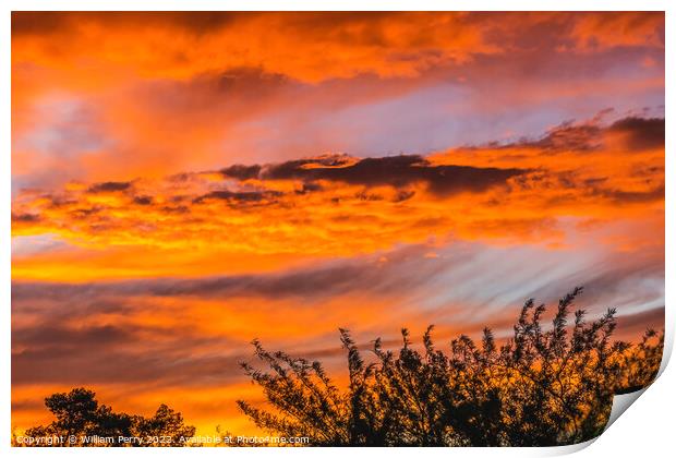 Colorful Sunset Sonora Desert Tucson Arizona Print by William Perry