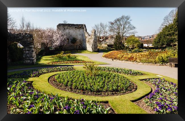 Guildford Castle Gardens Surrey Framed Print by Pearl Bucknall